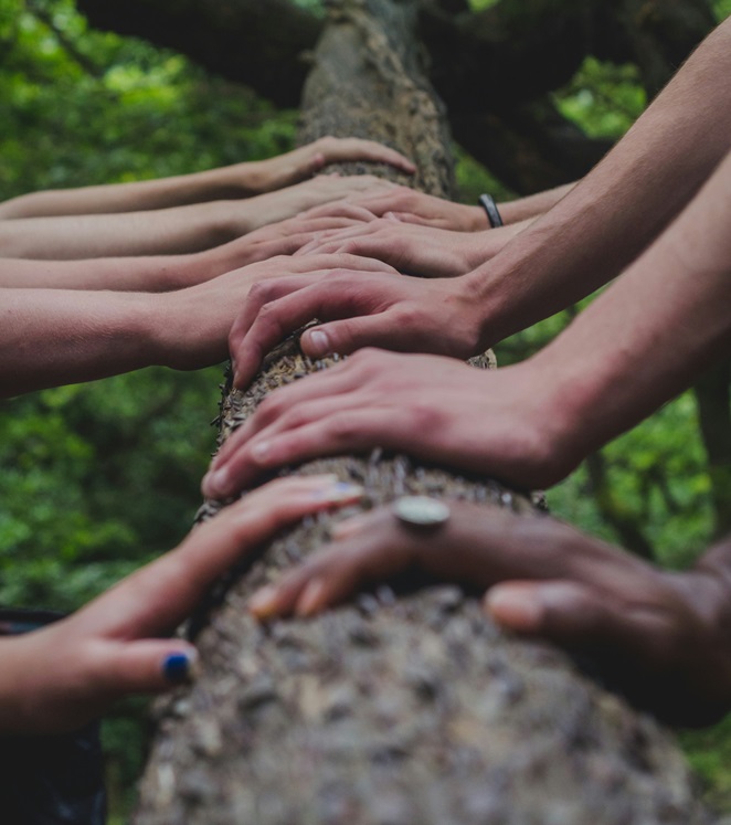 hands holding onto a tree branch